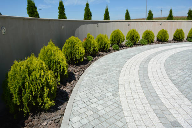 Best Driveway Paving Near Me  in Laughlin Af, TX